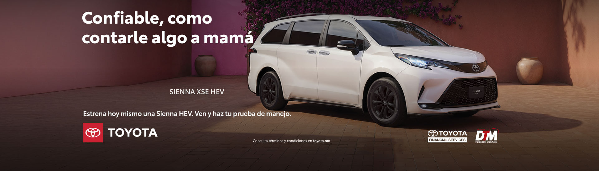 promocion